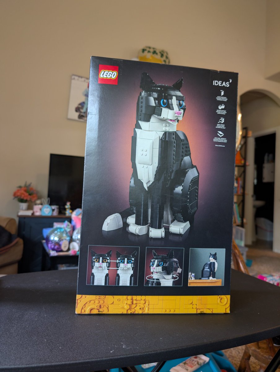Got a new project for my birthday!