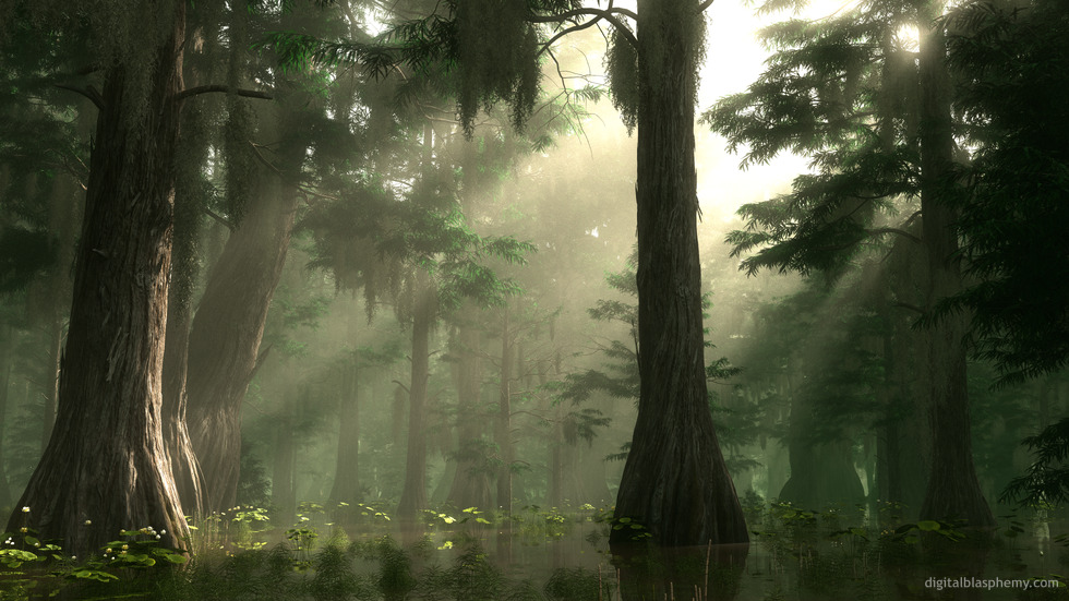 Happy Sunday!   

"Summer Bayou" is new in my gallery this morning.   I hope you all enjoy it!