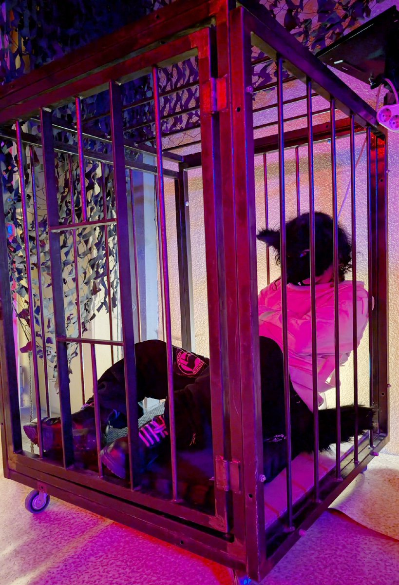 wendigoatAD's tweet image. "tsk, great. Well ,you caught me, congratulations... what's your plan now?"
(bratty dog boys like being locked up..)

#puppy #furry #straightjacket #kink #therian #dogcage #cuntboy #tboy