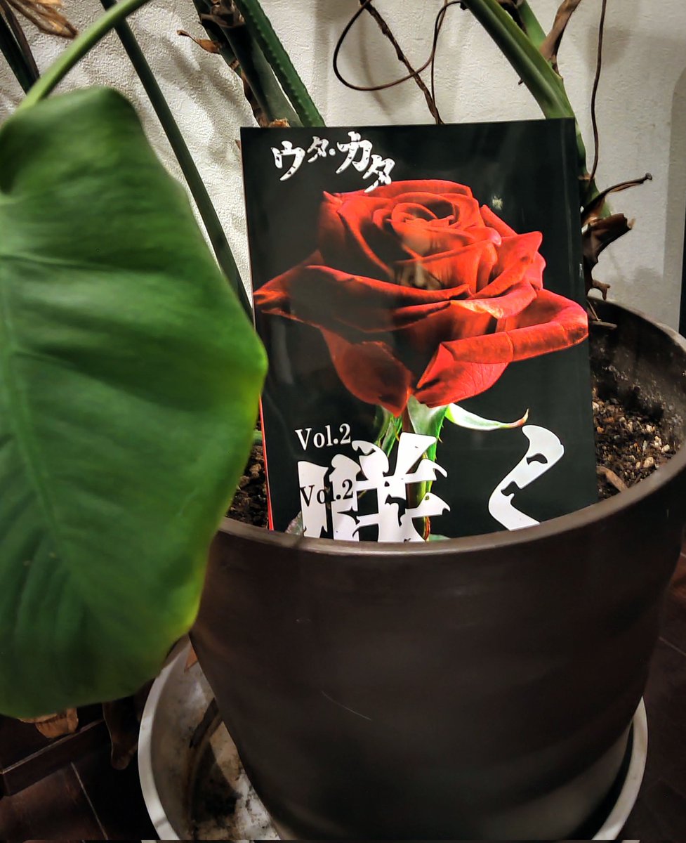 Oh_Father's tweet photo. #文学フリマで買った本
『ウタ・カタ Vol.2 咲く』
Vol.02は先頭から読んでいます。怖いけどそれが気持ちいい。おかげで綺麗で元気で無害だったはずの草花たちとじっくり目を合わせられなくなりました！ https://t.co/zWK71hQkvY