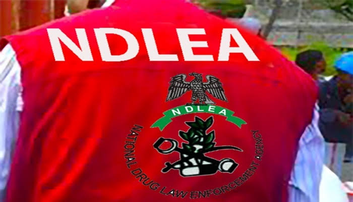 SaharaReporters's tweet photo. NDLEA Busts Kwara Polytechnic Student For Drug Sales To Colleagues, Intercepts Cocaine Hidden In Female Headgear En Route To Australia | Sahara Reporters https://t.co/ipWAGbad41 https://t.co/TDiwW7Vtr5