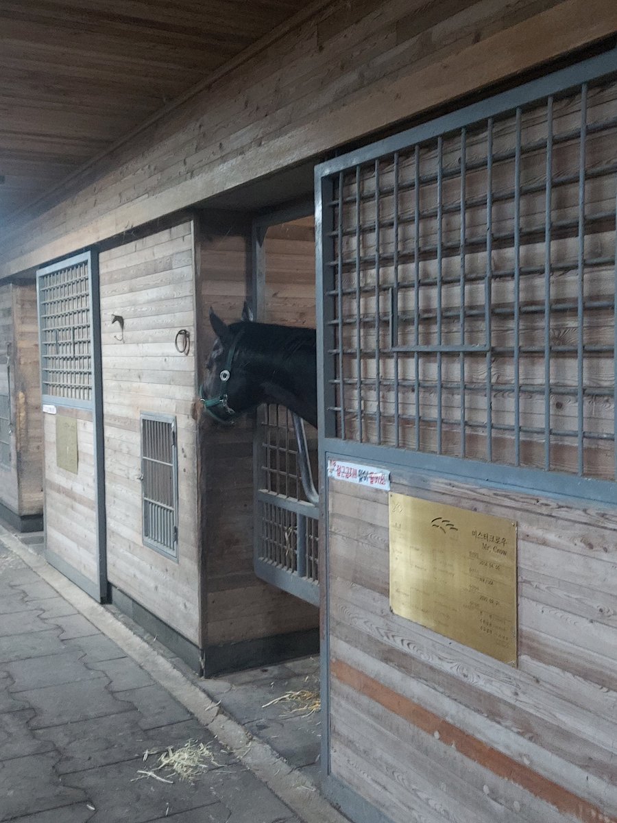 knI6ewje2Rl3RGw's tweet photo. #Uncaptured(2010 🇨🇦) : "Hey, this ain't my room(Mr. Crow's), is it?"

@eviti_viti
@ConchitaMTurf
@HORSERACING1002
@ScSquall1951
@QuequinoxArt
@Hartley_026
@tetrarch1911
@LourdesAbellera
@korearacing
@gregjon30402498
@DRFLivingston
@ponyace
@Nicole__Meiner
@yeats2009 https://t.co/s4grEcwVRz