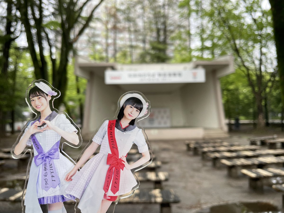 まんでぶ tweet media