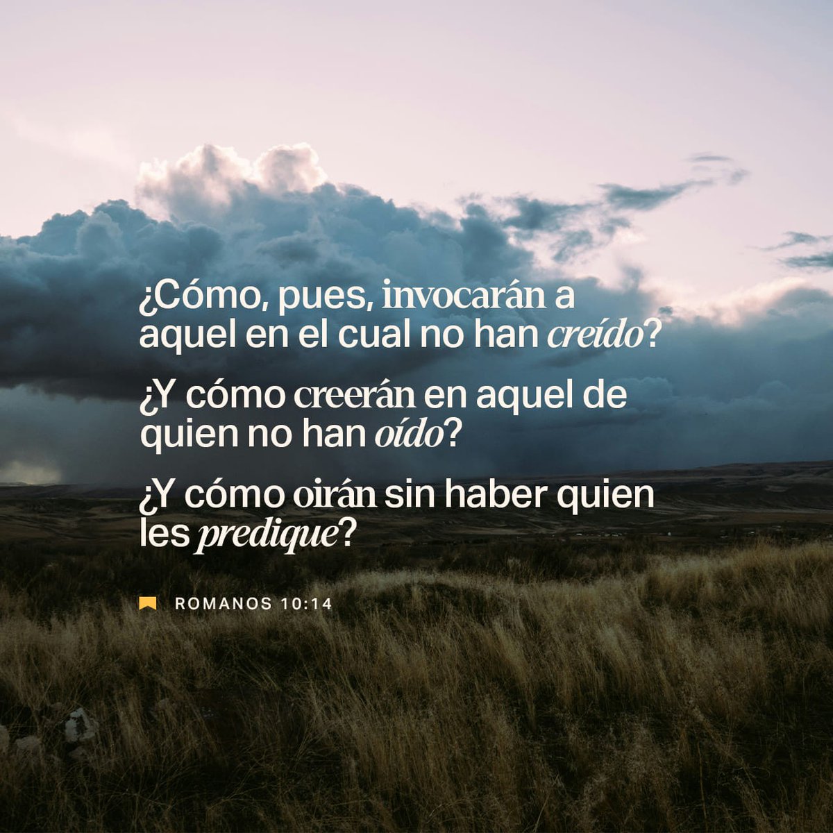 RomeroGueisha's tweet image. Buenos días ☀️ 🤗 #Panamá🇵🇦 buenas tardes y buenas noches 🙂 a aquellos que viven en otros lugares del mundo con diferentes horarios bendiciones🙏🏻hoy 18 de mayo del 2025 agradecemos este nuevo día con plenitud y gran Mor a sus hijos padre creador excelente domingo💙mensaje🌾💐