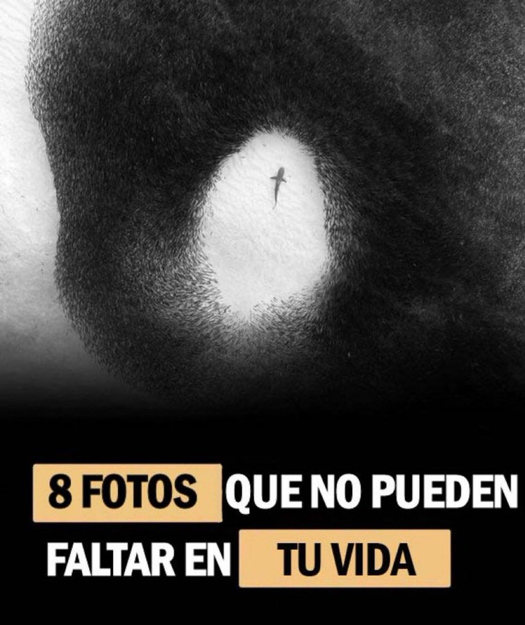 8️⃣ Imágenes que te harán reflexionar ahora que tienes tiempo.

LA #5 es muy real 😎

📂Guardar para recordar siempre📂