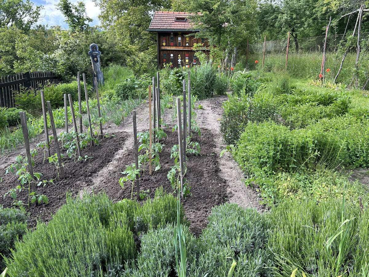 IBrockova's tweet photo. Our maison de campagne🇸🇰. Garden in the spring 💚🐝🌷🌸🌺
#BeautifulSlovakia https://t.co/YMQ3or3usn