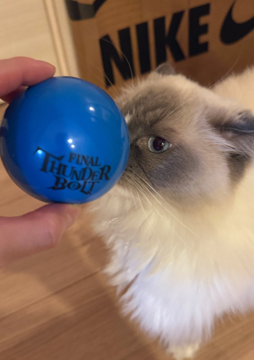 p1kt3's tweet image. MSSPのライブ行ってきた！真サンダーボルト痺れた⚡
あとボール飛んできてキャッチできた #MSSP横アリ