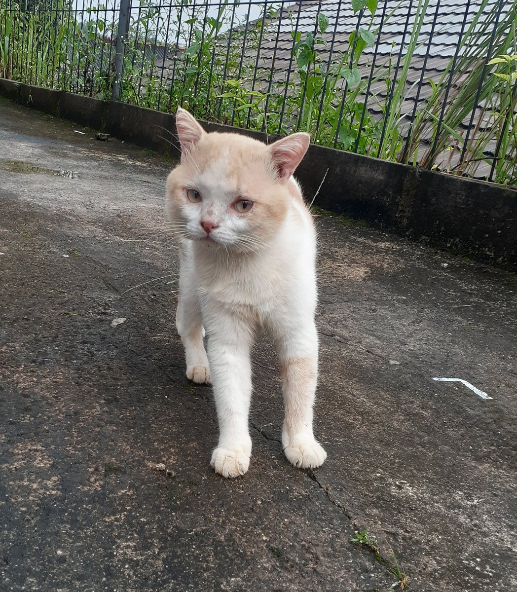 Vvvaann_'s tweet photo. @__chimichi doa terbaik buat ucok ganteng🥺🥺❤❤ https://t.co/onGjRwFbeq
