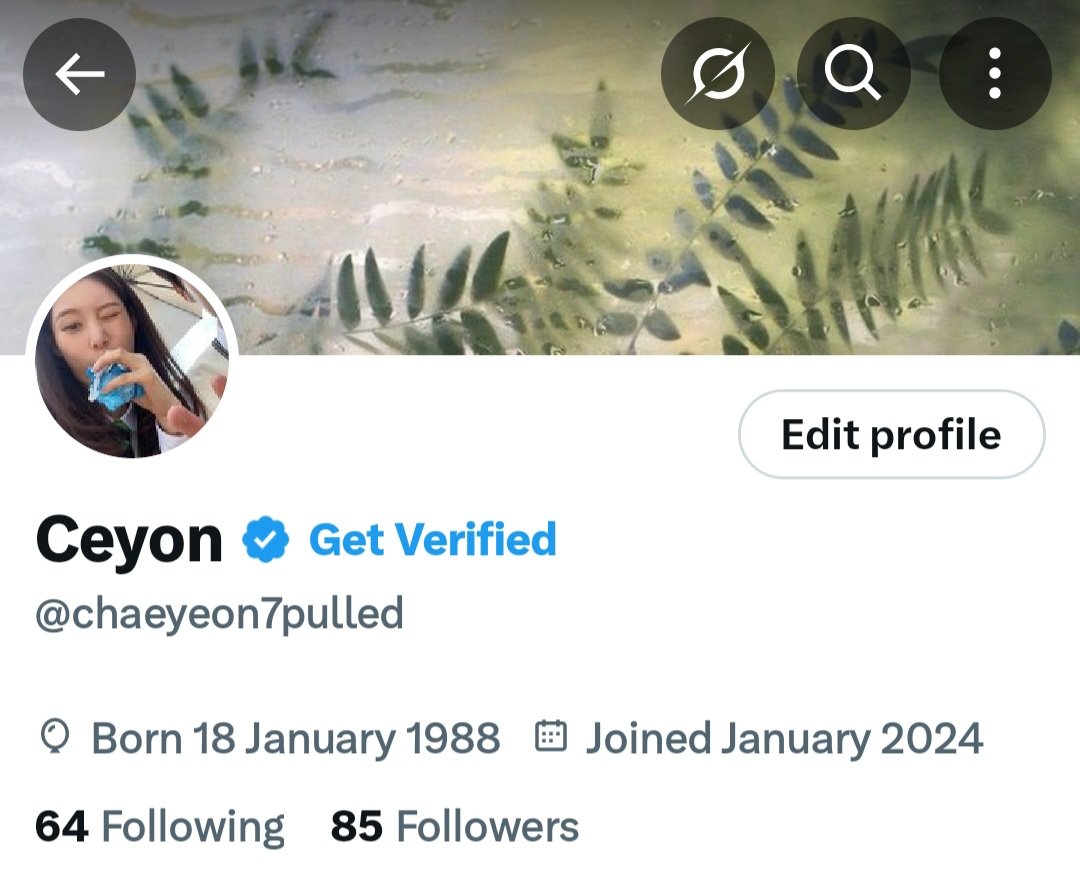 chaeyeon7pulled's tweet image. Cpdp di hari terakhir.