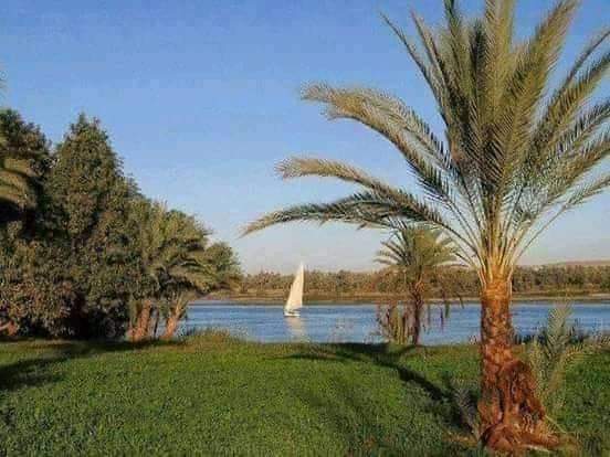 saed2136's tweet photo. @AymanazzamAja https://t.co/C7xZK64nn3