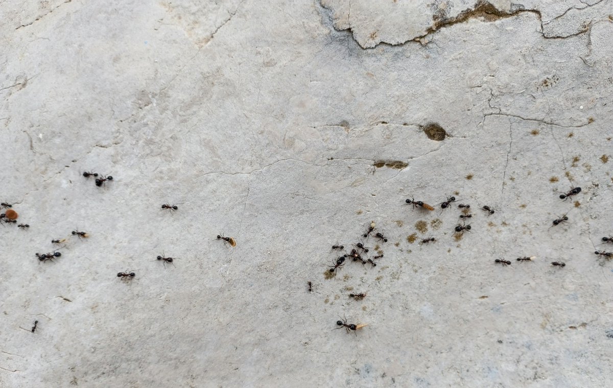 Rade i rade a ja gledam, suprotno onome "Sedam Filozofira Radi Jedan". Ali to je bilo davnoo