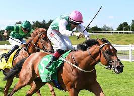 OTB_RACING1's tweet image. 4:33 Naas

Babouche 9/4 

Really keen to take on Whistlejacket here today, I think the run last time from Babouche was just due to fitness, wasn’t knocked about at all. 

Babouche beat Whistlejacket last year and i think conditions will suit here. 

1.5PT WIN