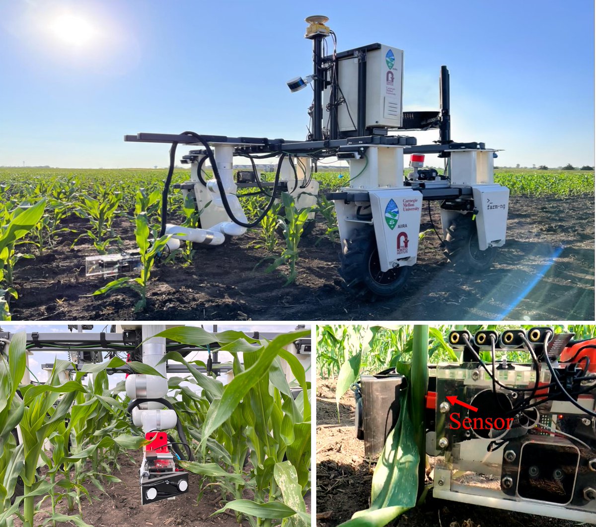 Mark Moonyoung Lee tweet media