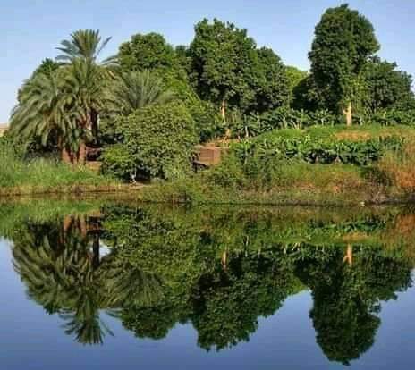 saed2136's tweet photo. @AymanazzamAja https://t.co/yqBoimomKf