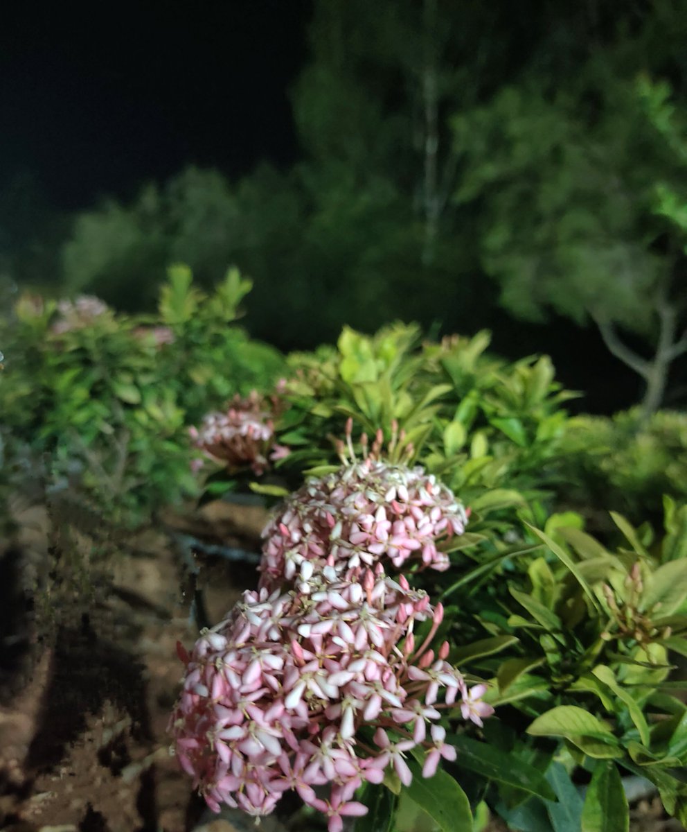 OutOFreacH_i's tweet image. .....🦋
𝙄𝙩 𝙞𝙨 𝙣𝙤𝙩 𝙥𝙤𝙨𝙨𝙞𝙗𝙡𝙚 𝙩𝙤 𝙇𝙤𝙫𝙚 𝙨𝙤𝙢𝙚𝙤𝙣𝙚..... 𝙖𝙣𝙙 𝙣𝙤𝙩 𝙇𝙤𝙫𝙚 𝙩𝙝𝙚 𝙩𝙝𝙞𝙣𝙜𝙨 𝙩𝙝𝙚𝙮 𝙇𝙤𝙫𝙚 ....🩶🖤

#Randompics ©