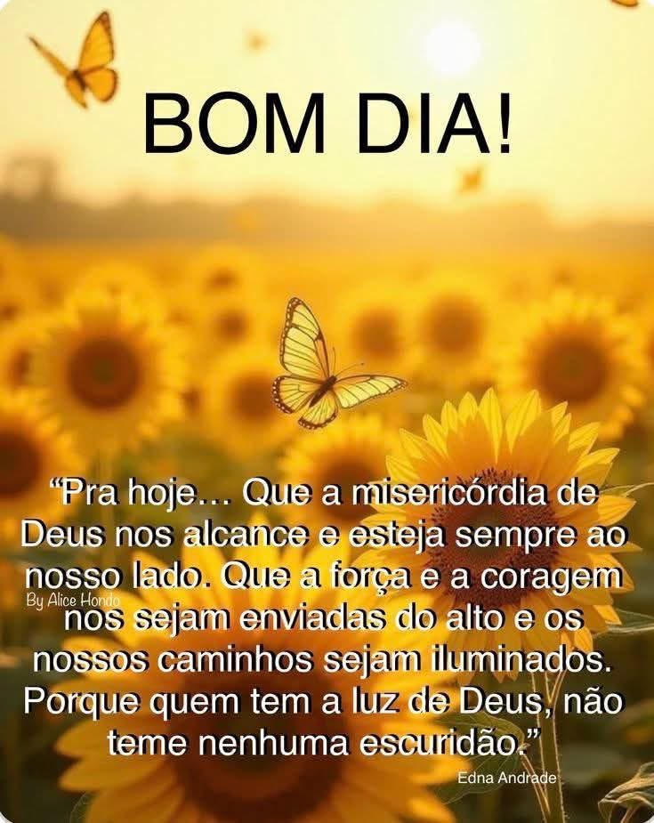 Bom dia a todos 🙌🥰
