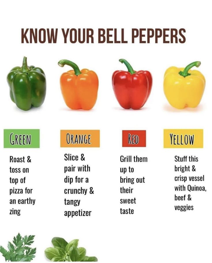 KristenJakobitz's tweet image. Bell peppers are rich in vitamins and antioxidants, especially vitamin C and carotenoids, making them a nutritious addition to a balanced diet. Use this guide to easily incorporate the different varieties into your meals.
#health #nutrition #HealthyLiving