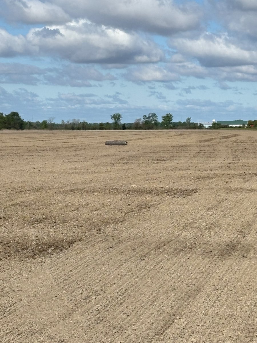 Adam Schmitchen tweet media