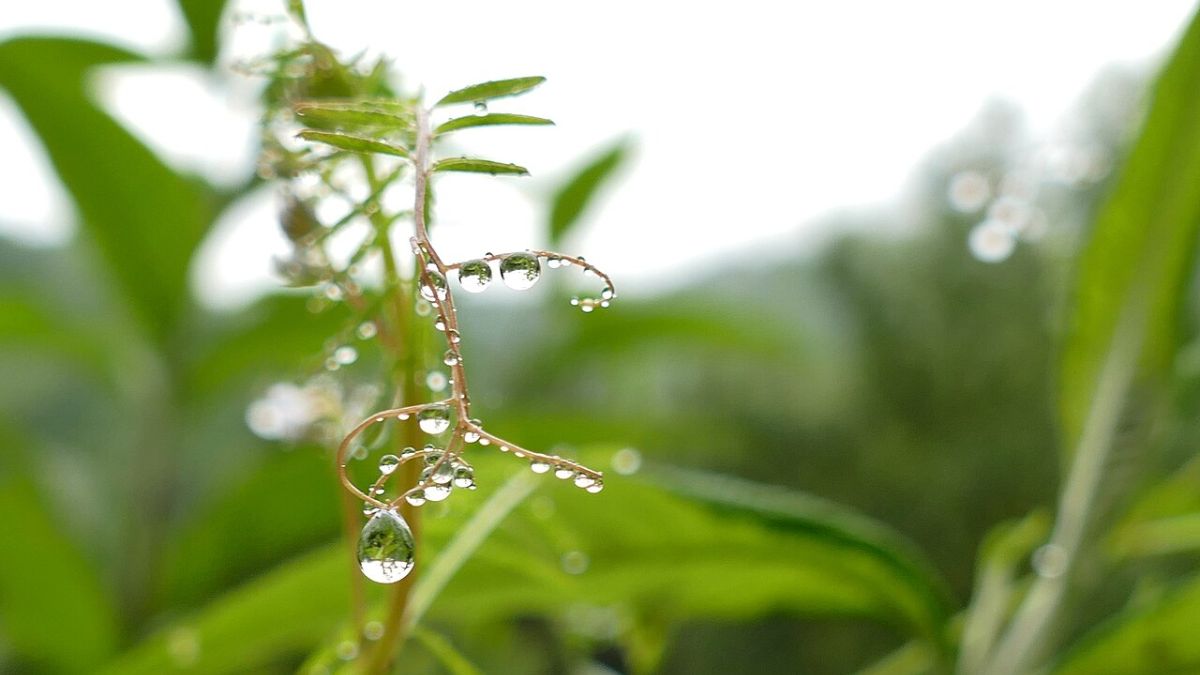 JToulousain's tweet image. Météo : entre éclaircies et averses cette semaine à Toulouse ☔ buff.ly/1tqQJ4l #Météo #Toulouse #Haute-Garonne