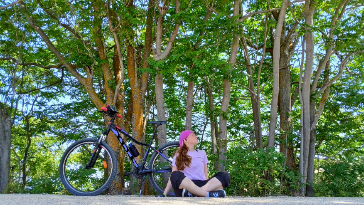 Sagidra's tweet photo. "Que ignorante el lobo que se cree que te engaña con su piel de cordero"  #bicicleta 🚲 https://t.co/P6k8VTng5o