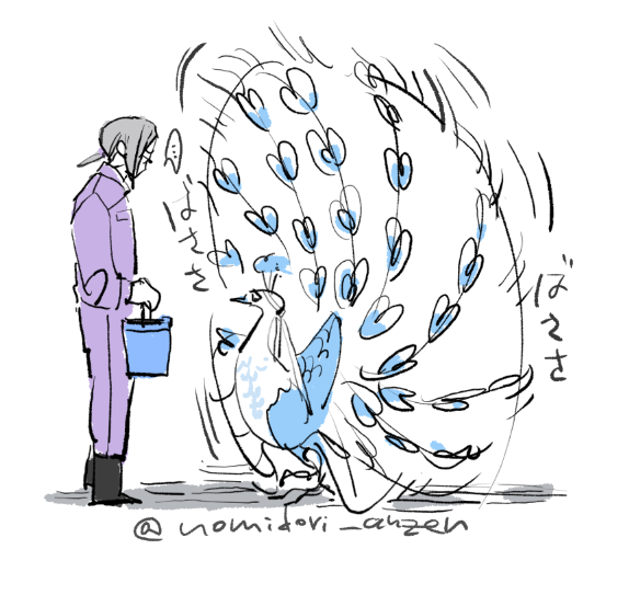 nomidori_anzen's tweet photo. おい　邪魔だ通してくれ　仕事にならん
そんな毎日威嚇してくれるなよ
落ち込むだろ

見て～またあの飼育員　求愛されてる～

届かない想い🦚 https://t.co/5ZfNjbYhVx