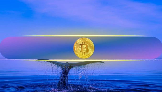 ChtCalls's tweet photo. Big Bitcoin Bet as BTC Whale Doubles Down With $393 Million Long Position 
https://t.co/hQvMlxTN6X 

#BitcoinWhale #BTC #CryptoNews #BitcoinLong #BTCPrice #CryptoMarkets #BitcoinBullish #WhaleAlert #BTCWhale #CryptoInvesting https://t.co/nmgv3vwv2q