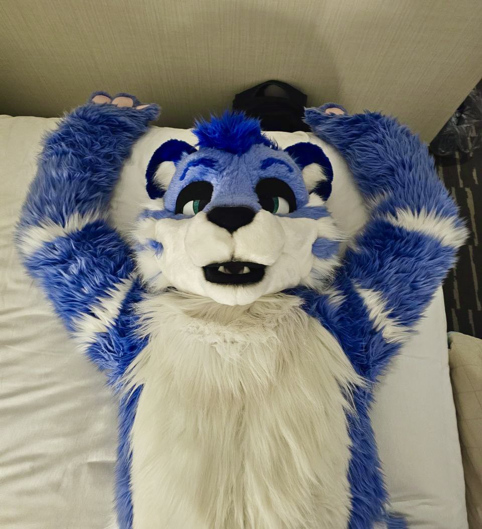 Tybaric ๐ FWA (@tybarictiger) on Twitter photo You got the tiger pinned down on your bed, what happens next? ๐๐
๐ธ: <a href="/kinterdeer/">Kinter ๐ MP, FD</a> You got the tiger pinned down on your bed, what happens next? ๐๐
๐ธ: <a href="/kinterdeer/">Kinter ๐ MP, FD</a>