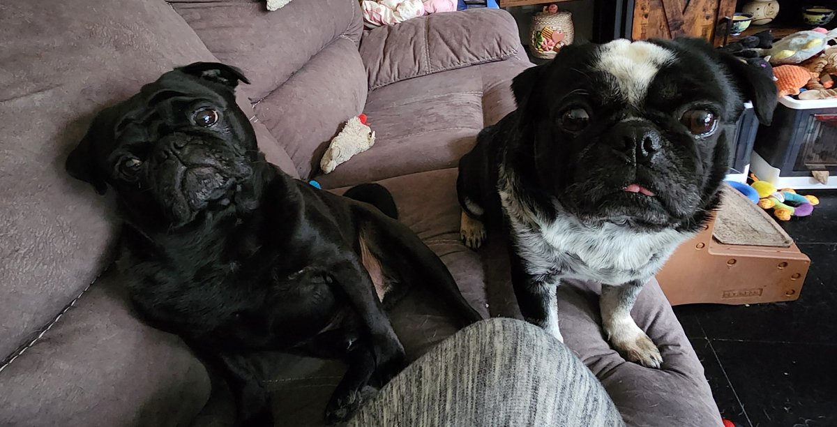 We 💙 you, Mommy...  🥹 🐶 🐾