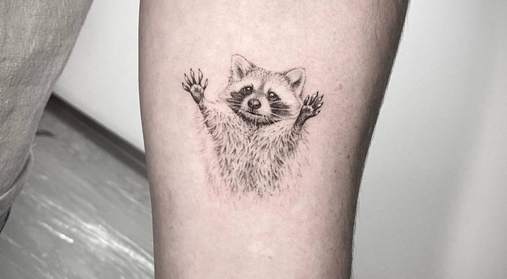 Sonic Racoon Cult - $SRCult tweet media