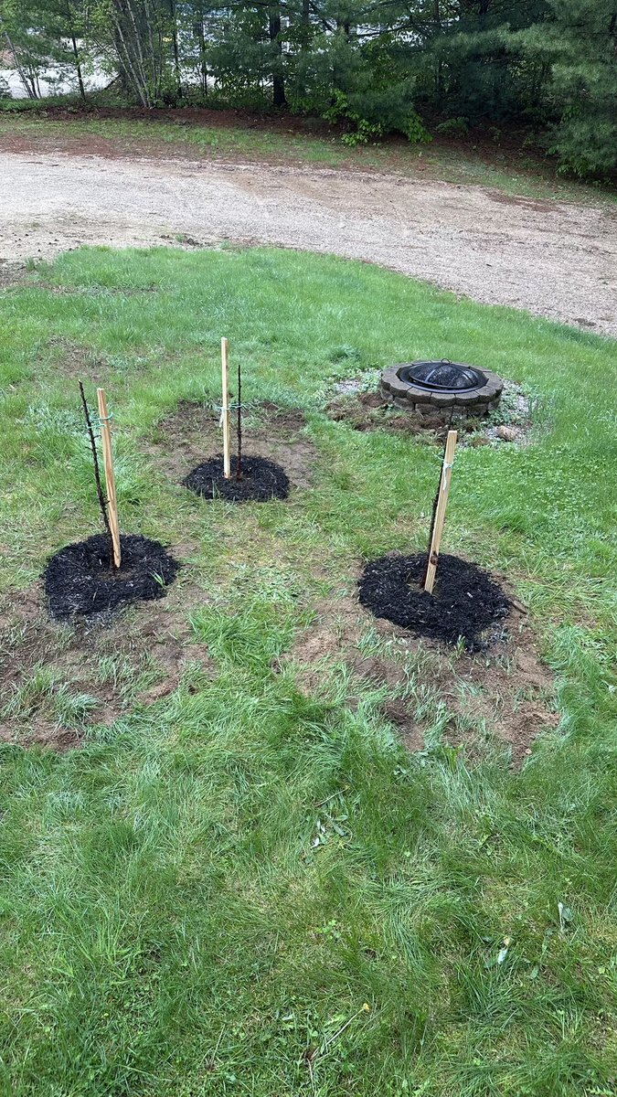 Steven Feinstein tweet media