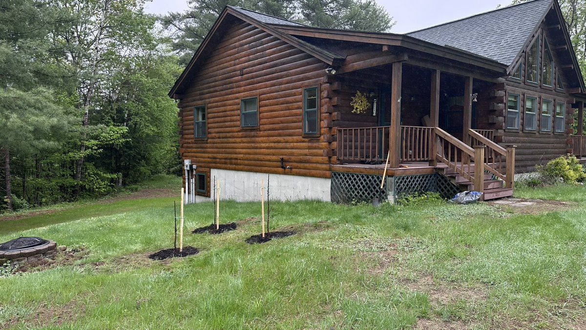 Steven Feinstein tweet media