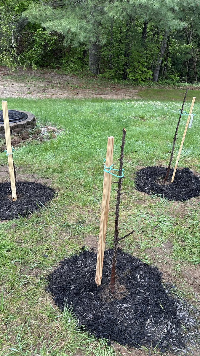 Steven Feinstein tweet media