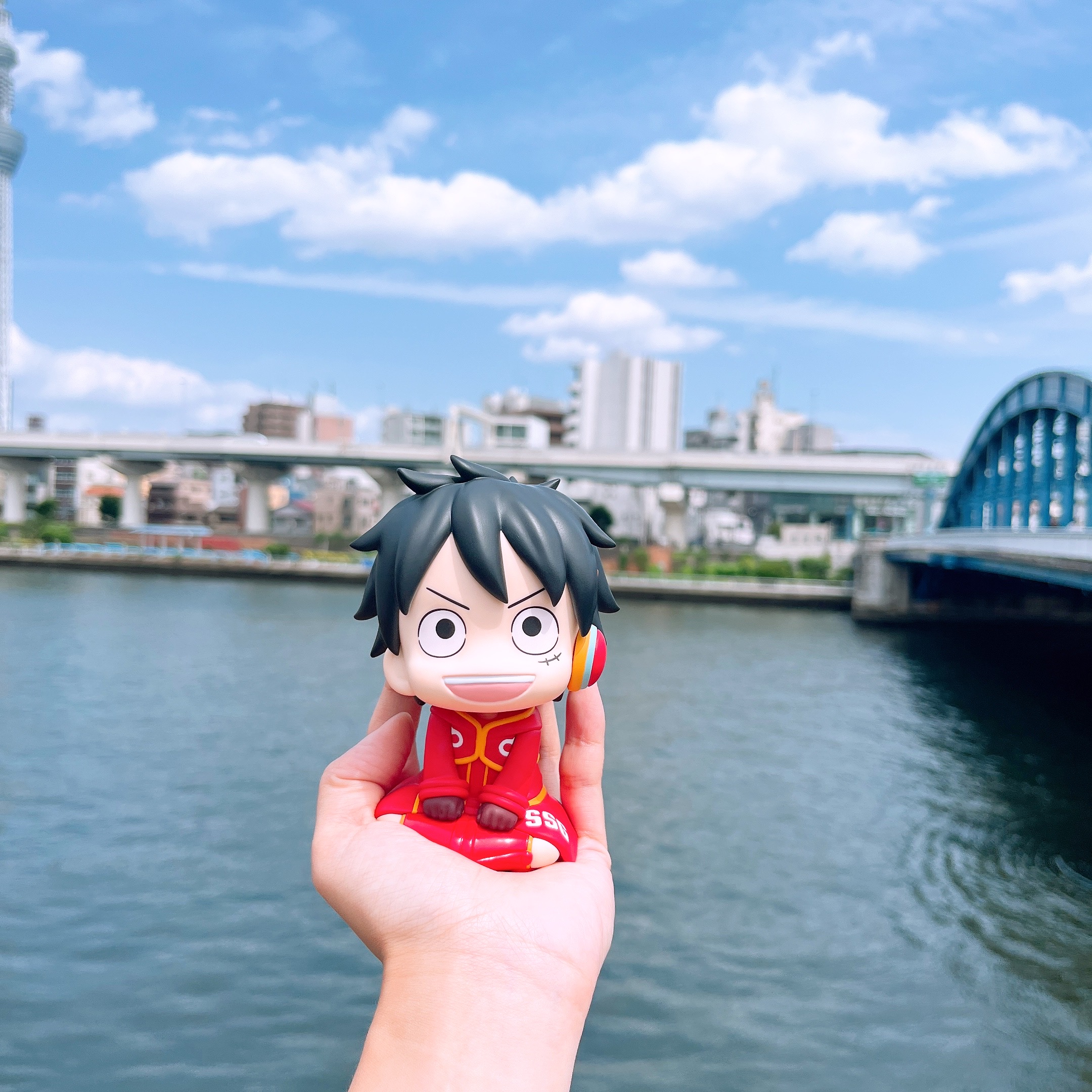 夏のよろこび バージョン違い メガハウス コレクション