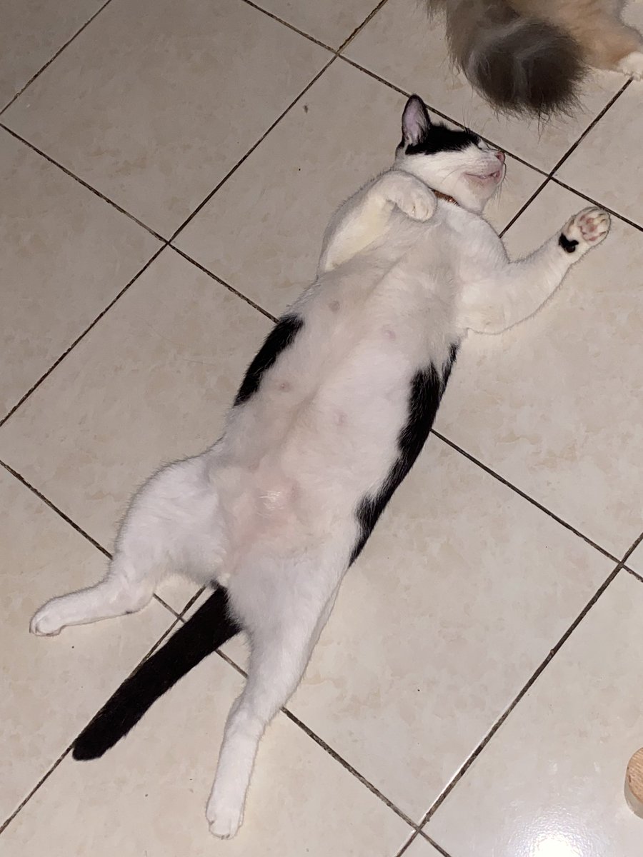 Tido gaya orang tiada komitmen bulanan