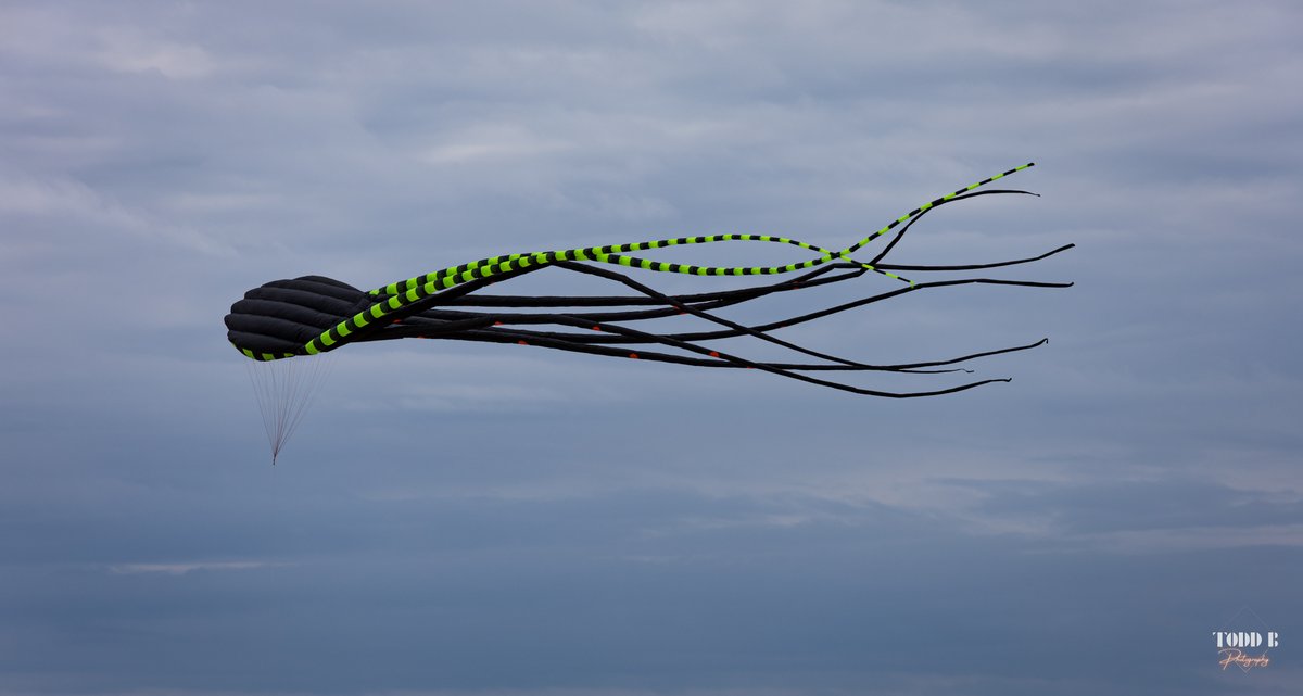 TiltedImage1's tweet image. Took some shot's at the kite festival in grand haven.

#grandhavenmi #kitelife #puremichigan #Michigan #greatlakes #canon #photography2025 #photography #outdoors #stateparks