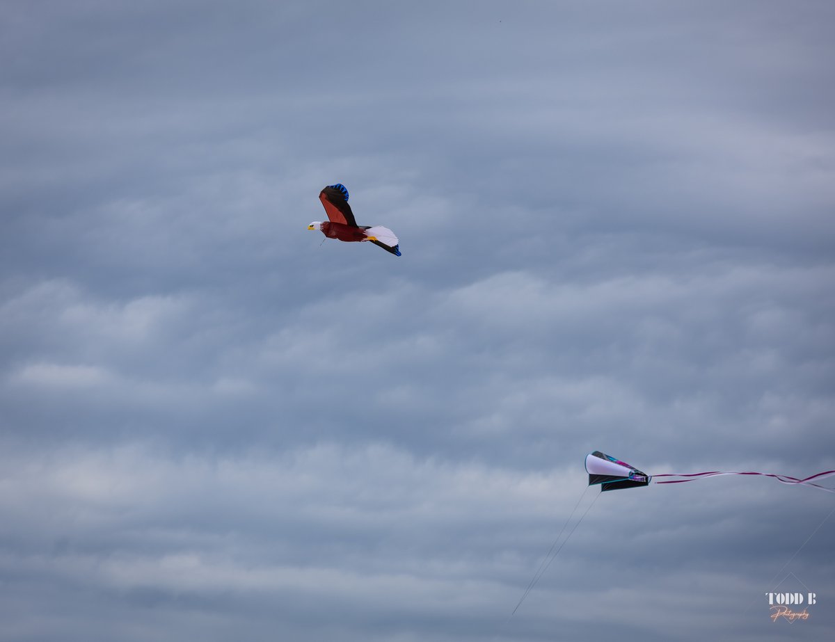 TiltedImage1's tweet image. Took some shot's at the kite festival in grand haven.

#grandhavenmi #kitelife #puremichigan #Michigan #greatlakes #canon #photography2025 #photography #outdoors #stateparks