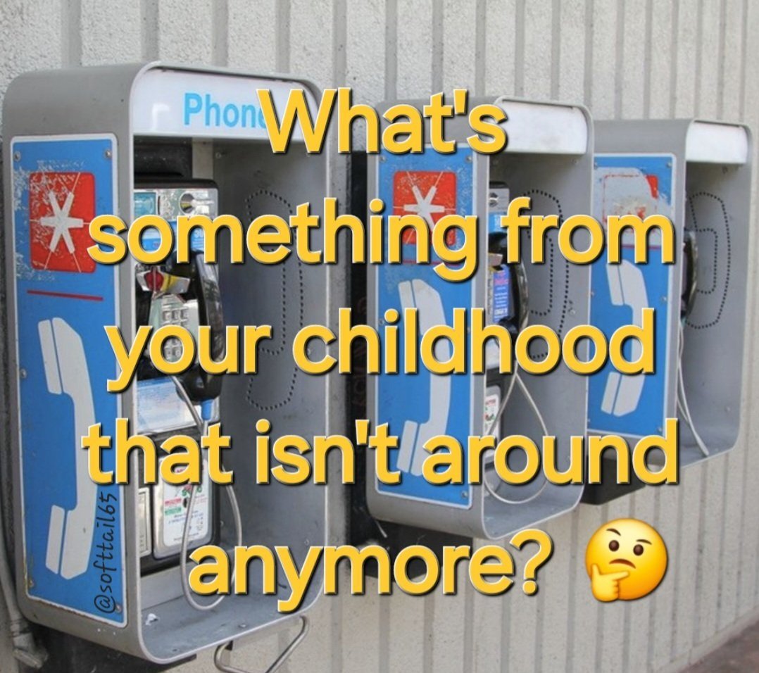 Monica 💙🌻🏳️‍🌈 tweet media