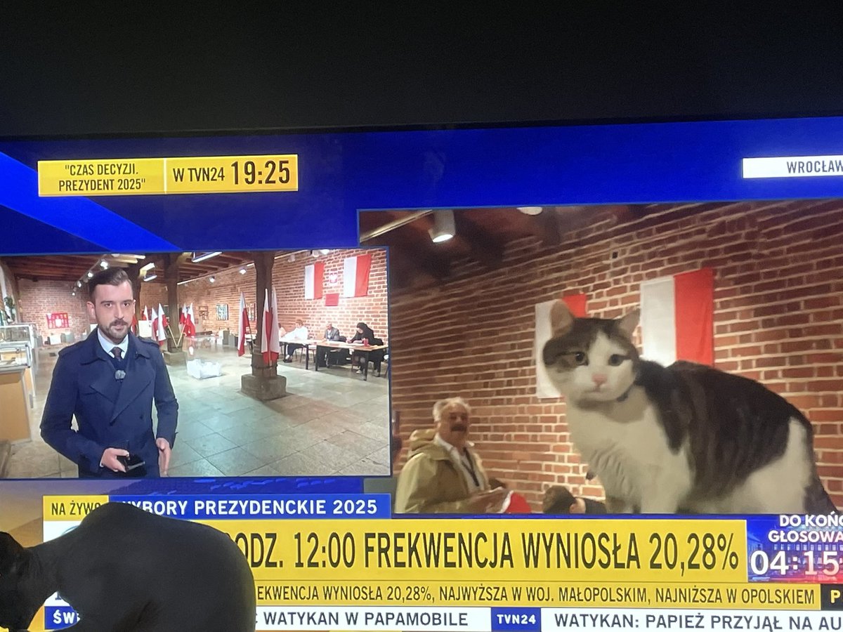 WAŻNE
#WyboryPrezydenckie2025 #Wybory2025