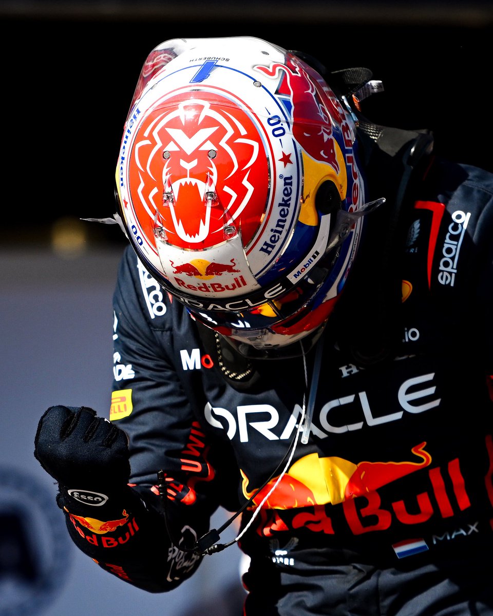 Max Verstappen tweet media