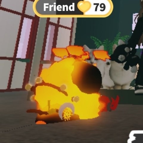 baru 📷🫀🗺️ tweet media