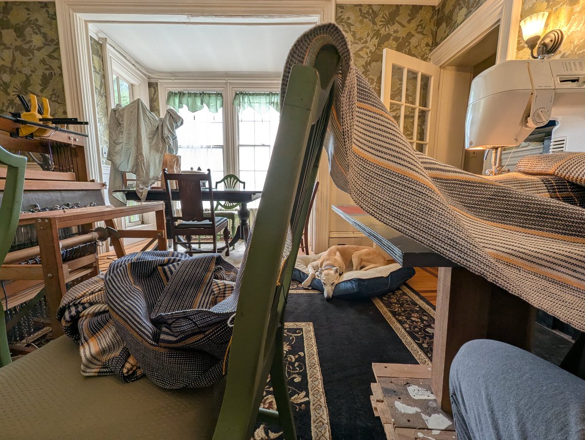 Momma says it really helps her concentration when she can hear me snoring!!