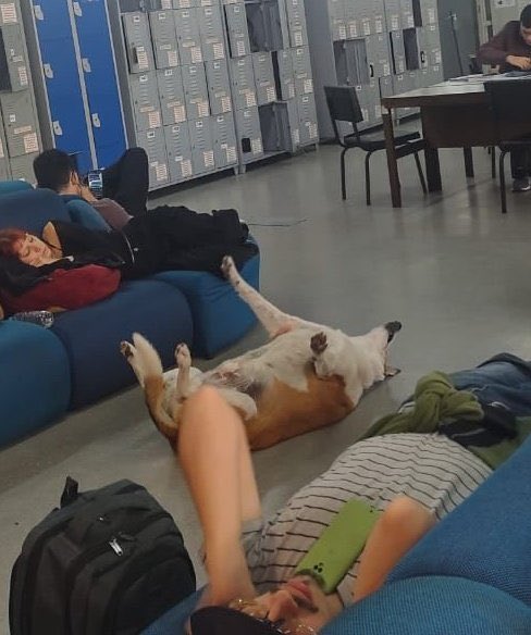O Silveira tirando um cochilo na biblioteca junto com os alunos depois do almoço juroooo