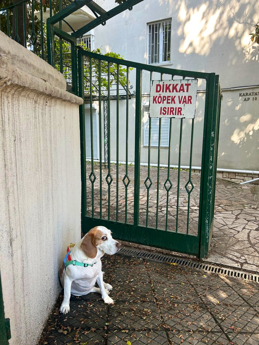 nesliko's tweet photo. Tehlikeliyim diyorum kızım üzerim seni https://t.co/V0KL4jplUQ