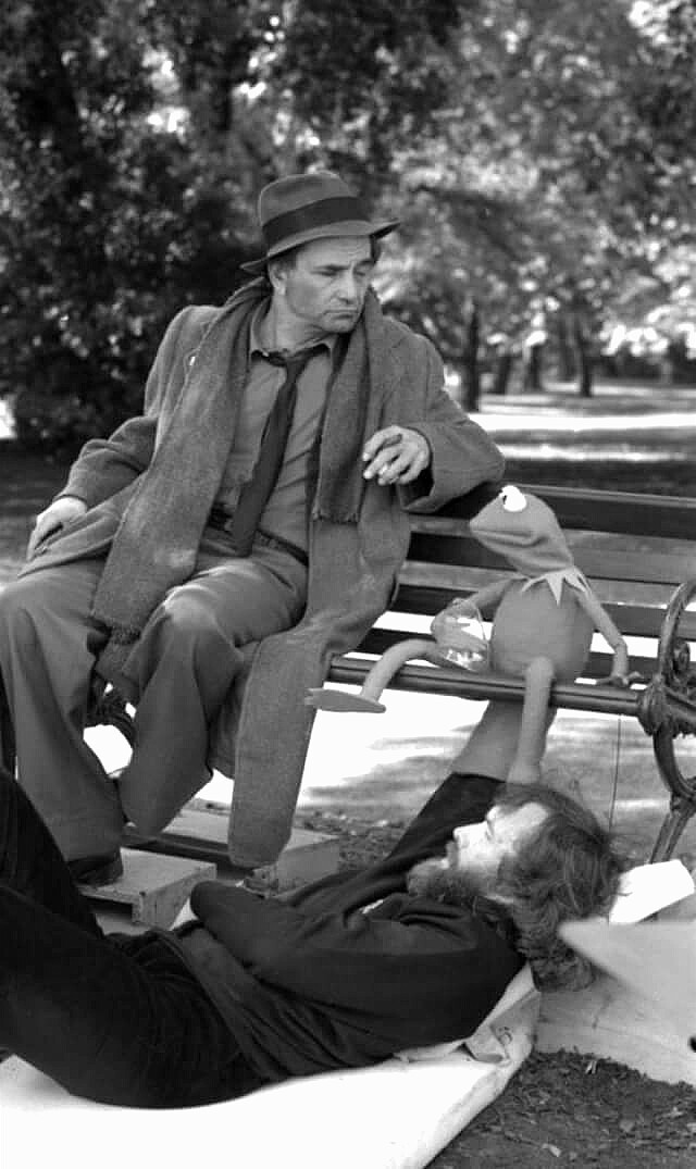 Muppet Pictures (@muppetpictures) on Twitter photo 