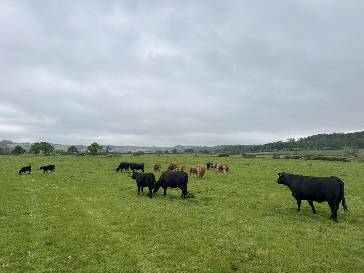 Charlotte ‘Garbs’ Wright tweet media