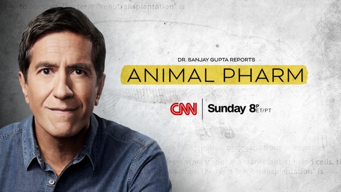 CNN Communications (@cnnpr) on Twitter photo TONIGHT: CNN Chief Medical Correspondent <a href="/drsanjaygupta/">Dr. Sanjay Gupta</a> explores a groundbreaking advancement in medicine: Xenotransplantation—the transplant of living cells and organs from animals to humans. Tune into Dr. Sanjay Gupta Reports: Animal Pharm, premiering at 8 pm ET/PT on CNN. TONIGHT: CNN Chief Medical Correspondent <a href="/drsanjaygupta/">Dr. Sanjay Gupta</a> explores a groundbreaking advancement in medicine: Xenotransplantation—the transplant of living cells and organs from animals to humans. Tune into Dr. Sanjay Gupta Reports: Animal Pharm, premiering at 8 pm ET/PT on CNN.