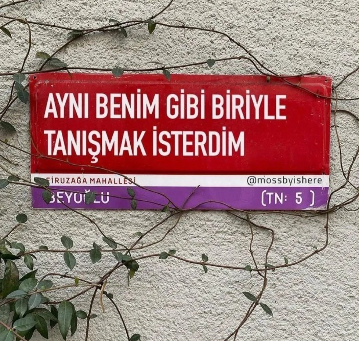 Delinindelisii 🐼 (@delinindelisi0) on Twitter photo 