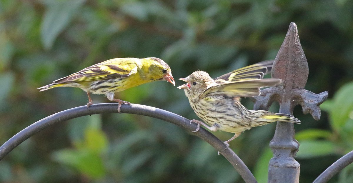 R.hewitt tweet media