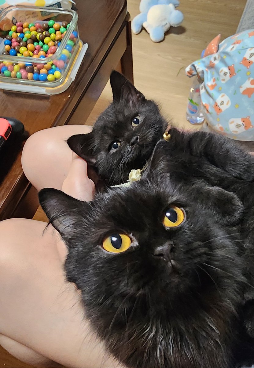 Look who is this ♡ happy 2 months Boo♡