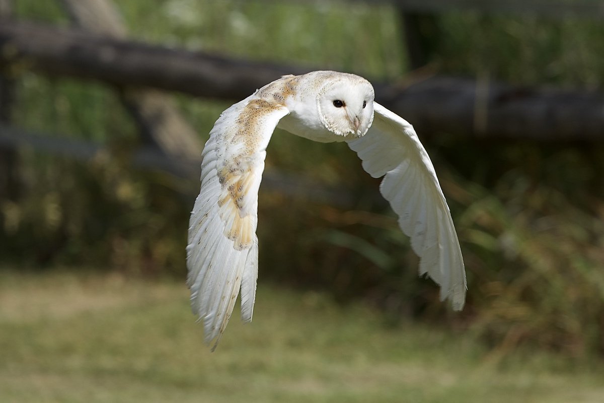 border70's tweet image. A few from a photographic day yesterday.